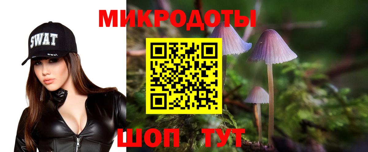Псилоцибиновые грибы ЛСД Курчалой