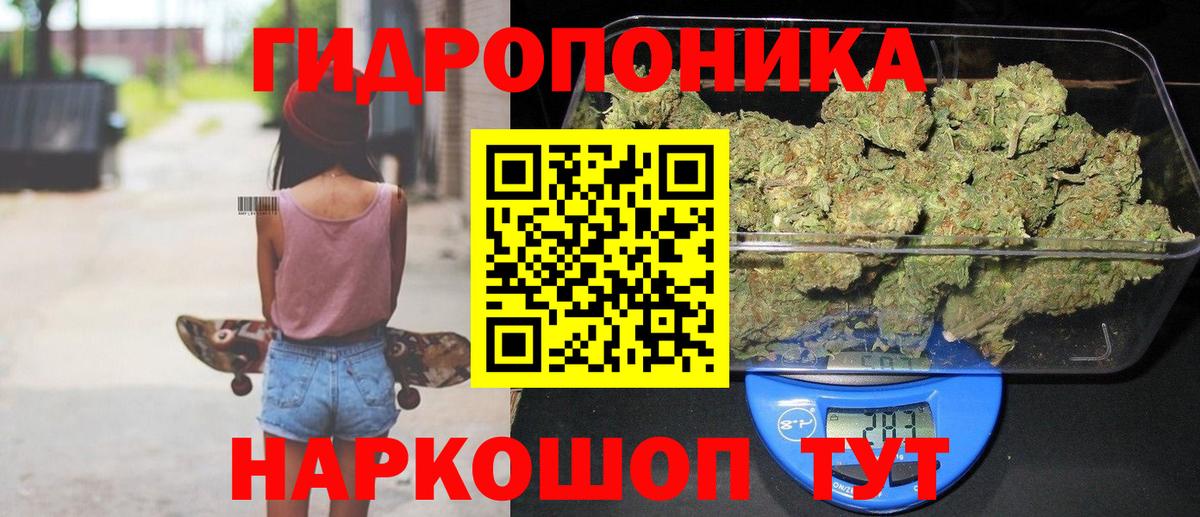 Бошки марихуана планчик Курчалой